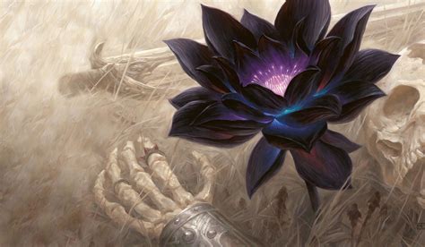 mtg blue backgrounds|black mtg background.